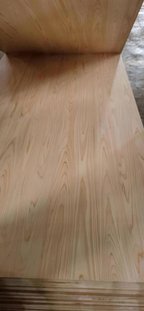 檜木地板與其他木質地板的比較與選擇指南