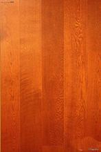 德爾木地板產品全攻略 最新系列與選購參考指南