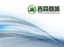 中國(guó)吉林森工集團(tuán)網(wǎng)絡(luò)信息技術(shù)開發(fā)的戰(zhàn)略路徑與實(shí)踐探索